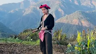गाऊको अर्गानीक तोरीको साक  😘 #1ksridharvlog #villagelife #handmade श्रीधर भण्डारी