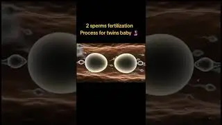 #Fertilization#Twins#DoubleFertilization#GeneticsFacts#ScienceExplained#MedicalMystery