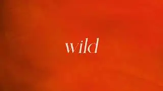 Home By Dawn & Hannah Zhao - Wild (Official Lyric Video)