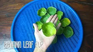 How to make Banana leaf Cup