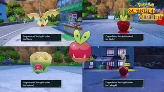 Cara Evolve Applin Menjadi Flapple, Appletun, Dipplin Dan Hydrapple Pokemon Scarlet Violet Indonesia