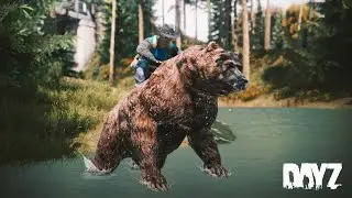 DayZ Survival &ndash; A Strong Start, A Brutal End (No Commentary, Relax, Sleep, Study)