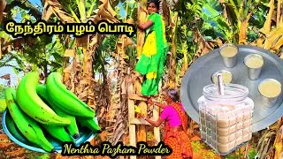 இப்போதுதான் சீசன் இதை செஞ்சு வச்சுக்கோங்க #நேந்திரம் பழம் பொடி l #Raw Nendran Banana Powder l#patti