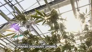 Kentucky's first medical cannabis dispensary to host soft opening this weekend