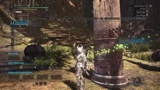 Monster Hunter: World (MHW) Drachen build dual blade