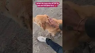 &ldquo;बेज़ुबान दोस्त से सच्चा प्यार ❤️ | Dog Love Shorts 🐶&rdquo; #viralvideo #doglove #youtubeshorts #dogcare