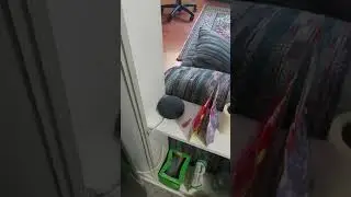 Google home mini posessed. Google poseido?
