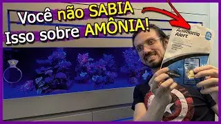 Aprenda Tudo sobre AMÔNIA no AQUÁRIO!