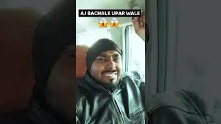 ANIMAL DRIVE CAR MY REACTION VIDEO
