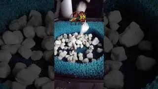 SEACHEM MATRIX
