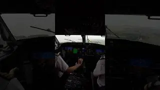 Visual approach and landing at Liverpool Airport Cockpit View! Boeing 738 Max #aviation