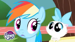 Songs | The Pet Song' Music Video  | MLP Songs #MusicMonday