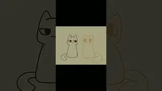 GATINHO FOFOS #gatos #fofinho #fofo #gatinhos #engra&ccedil;ado CREDITS: @alwxhoshi