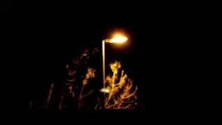 PANTERX93 FT Robot95 - La noche