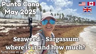 Sargassum in Punta Cana? Where and how much? Let's check Bavaro Beach and Macao Beach