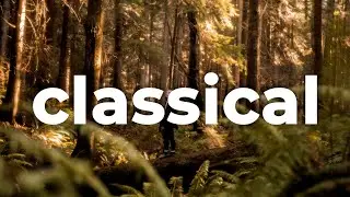 🌳 Classical & Cinematic (Free Music) - 