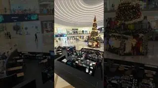 Giant Christmas Tree 🎄✨ | Tree Dubai Marina Mall.