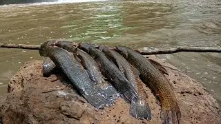 Elas estavam na cachoeira 