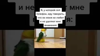 У кого так же ? 😂
