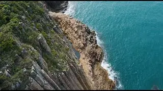 20-Min Nature's Healing Meditation Soul Sanctuary - Music, Waves & Wild Animals