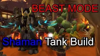 Shaman Tank Build - Classic+ Ascension