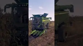 🚜🌽🔥 PREMI&Egrave;RE SAISON DE MOISSON DE MA&Iuml;S POUR LA JOHN DEERE S5 500 ! 🔥🌽🚜