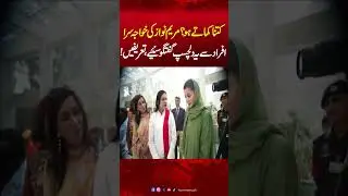 Viral Video | Maryam Nawaz Conversation With Transgender Community  | Hum News | Pakistan