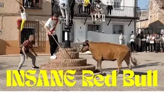 Brave Bull Acrobatics | Stunning Bull Leaps and Dodges