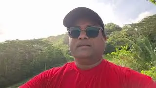 Navigating Tamarind Falls: The Difficult Path, Road, and Time Explained