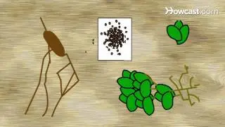 How to Make Potions