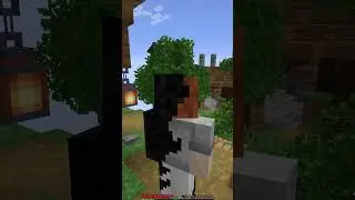 Custom Shadow Skin!
