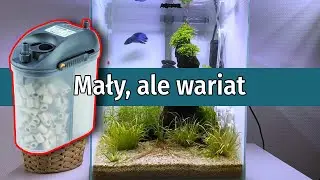 00105 - Mały, ale wariat #Eden #501