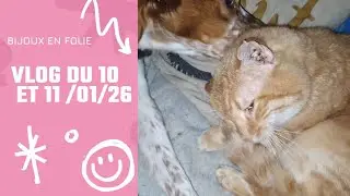 Vlog :c'est l'amour fou avec le chat ❤️