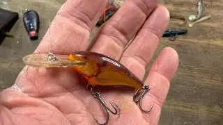 Why The Little No. 5 Shad Rap HAMMERS Cold Water Bass&hellip;