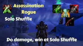 Assassination Rogue PvP 10.0.2 | Assa dmg vs Feral dmg, Solo Shuffle showdown !