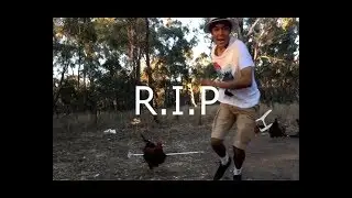 Rooster Go Away! Bound By Mask Christmas Song