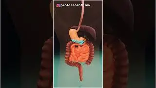 Momos Causes Cancer! Truth or Myth? - By Kishor Singh #shorts