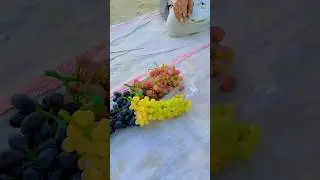 #quettavlogger
