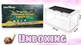 Faunarium für Schnecken 🐌 Unboxing