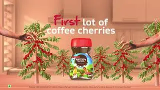 NESCAF&Eacute; FIRST HARVEST | Handpicked from the first harvest of the season.