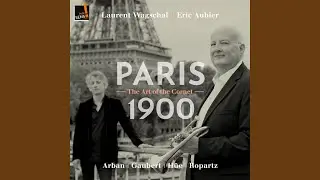 Troisième solo de concours