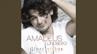 Gipsy-sirkus