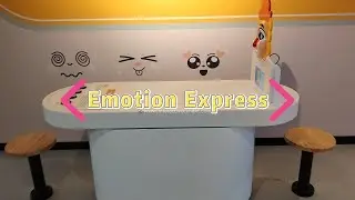 Emotion Express - Bionic Interaction Game for Emotional Recognition and Expression