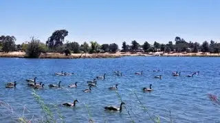 Revitalizing Energy Boost - Refresh Your Mind -  Meditation Music, Relaxing Music