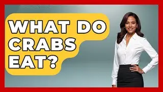 What Do Crabs Eat? - The Marine Life Explorer