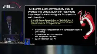 Endovascular Arch Repair With Cook 2 Or 3 Branched Devices For Lesions Involving Whole Aortic Arch