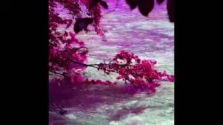 (FREE) So La Lune  x Rounhaa Type Beat 