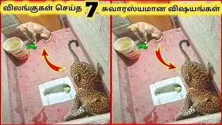 ஆச்சரியமான விலங்குகள் || Seven Animal Surprised Humans || Tamil Info Share