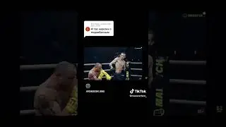 #победа #нокаут #knockout #fighter #fight #TKO#victory #boxing#bkfc#mahatch#боец #boxingfights
