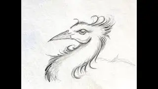 [FULL VIDEO] Drawing a Fluffy Emu-Like Bird | Real-Time Sketch with Pencil